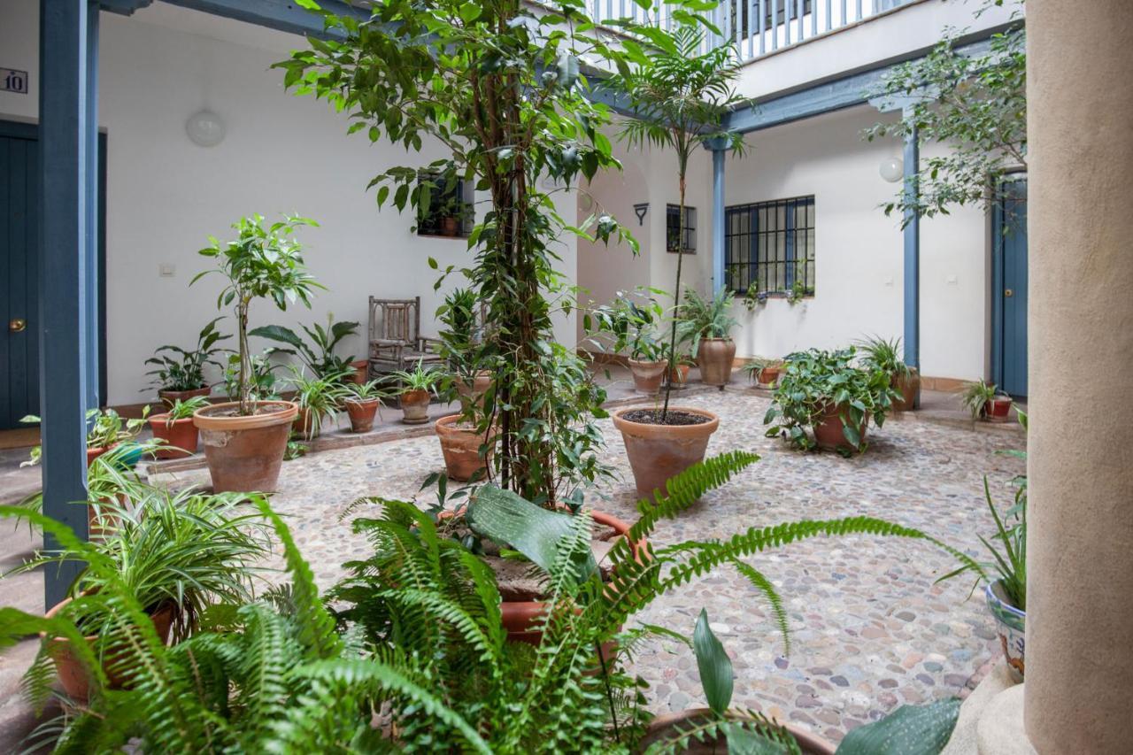 Espectacular Apartamento Con Terraza Privada Parking Sevilla Exterior foto